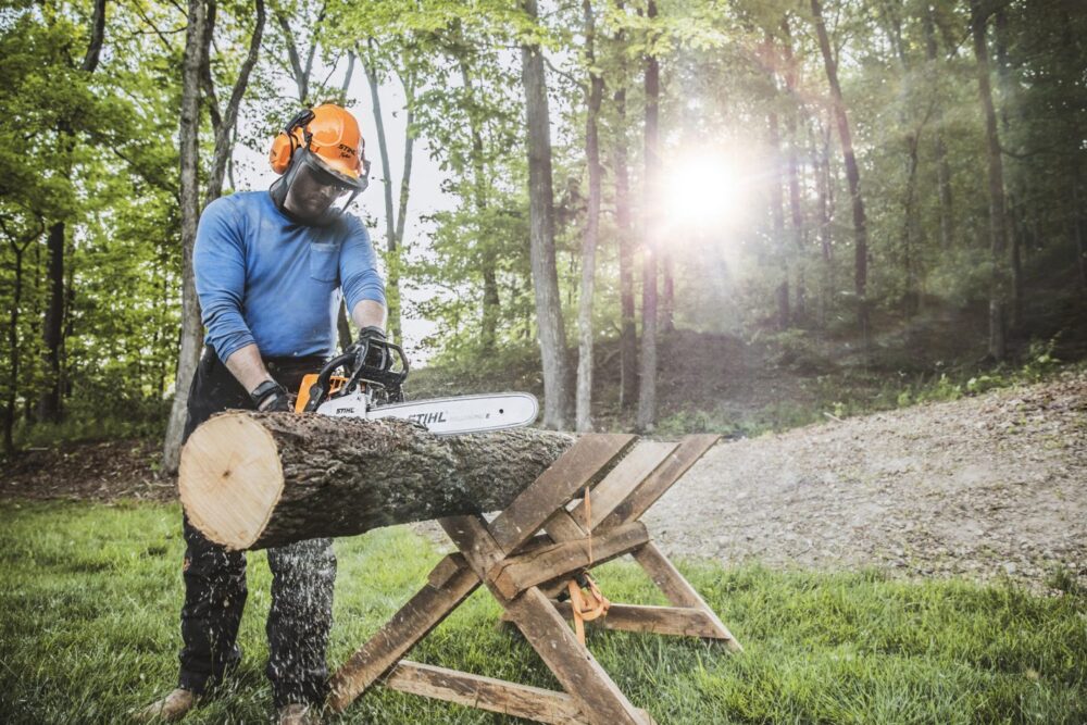 MS 250 Petrol Chainsaw